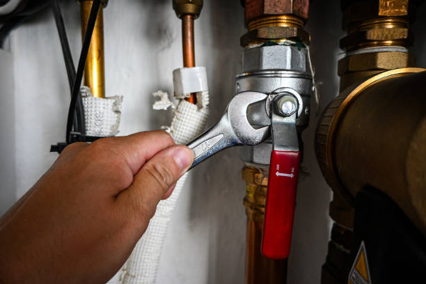 Best Local Plumber Services  in Rose Hill, NC